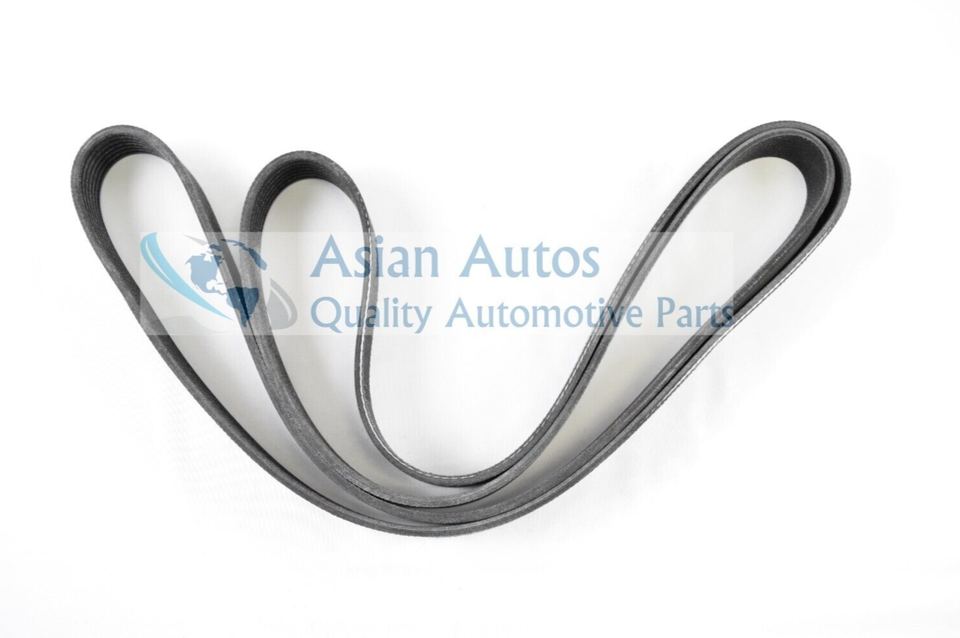 Serpentine Belt